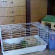 pani�ka m� p�j�ila i pel��ek a kouli, he� :)