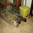 Zip - d�msk� n�v�t�va v�dy pot�� :) moje holky ho �li okukovat :D
