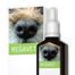 REGAVET - harmonizace za��vac�ho syst�mu a metabolismu. REGAVET - harmonizace za��vac�ho syst�mu a metabolismu.